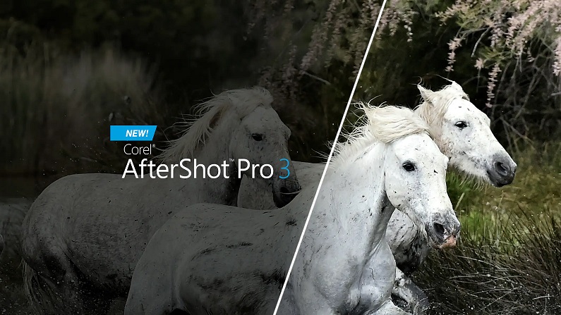 Corel AfterShot Pro + HDR 3.7.0.446 2025