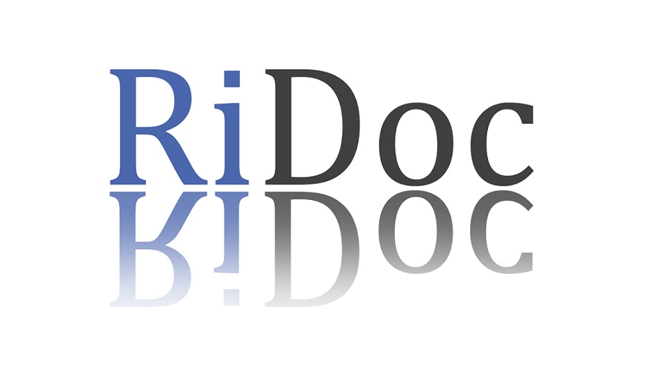 RiDoc 5.0.12.1 на русском с ключом 2023 торрент