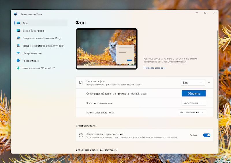 Динамическая Тема Windows 10 и 11
