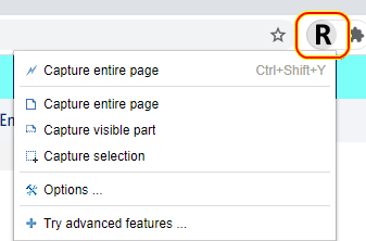 FireShot версия 1.12.17 для Chrome