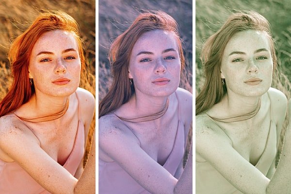 Franzis #2 Профессиональная Коллекция 4 в 1 x64 Рус + Англ Портативная версия