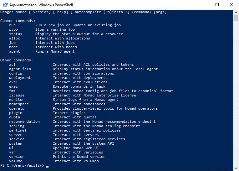 HashiCorp Nomad Enterprise версия 1.9.3 для 64-разрядных систем