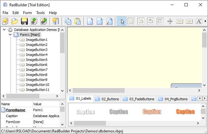Longtion RadBuilder 4.9.0.490 с переупаковкой