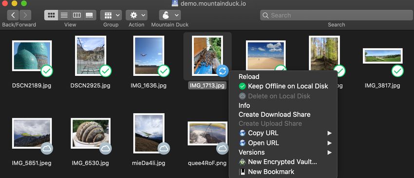 Mountain Duck версия 4.17.1.22545 для x64 систем