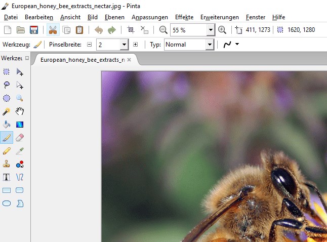 Pinta 2.1 в портативном варианте