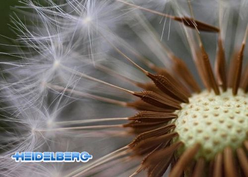 Prinect PDF Toolbox версия 21.10.038