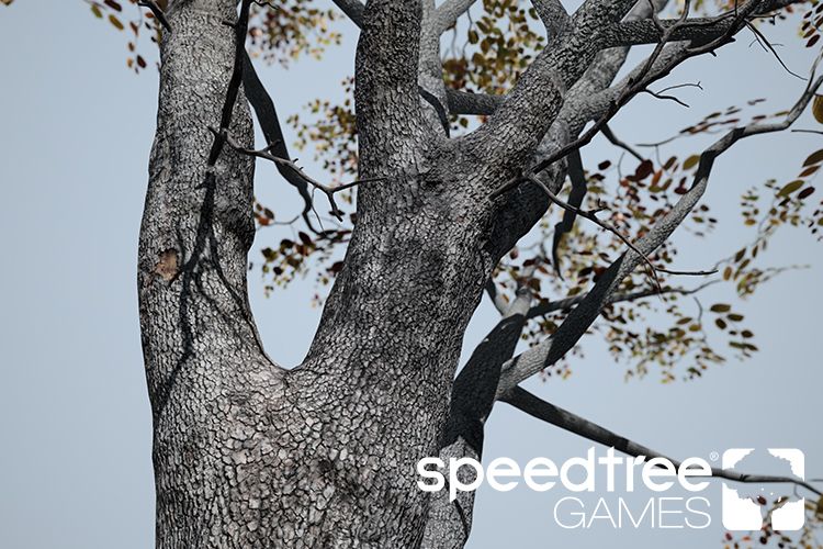 SpeedTree Games 9.3 x64 для предприятия