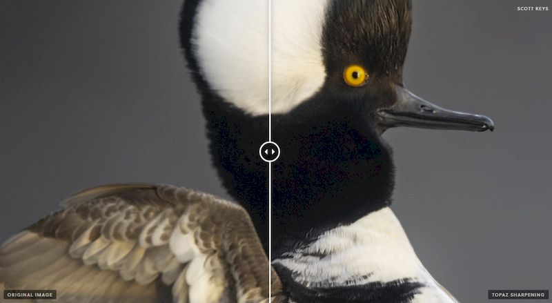 Topaz Photo AI 3.4.2 - и репак для macOS