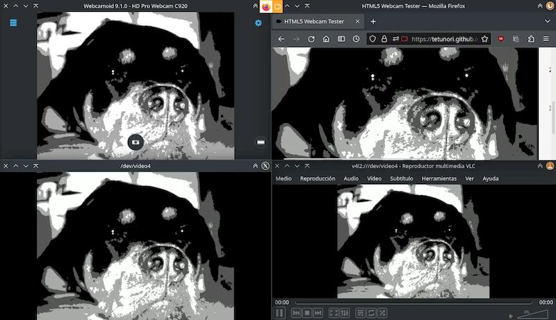 Webcamoid версии 9.1.1