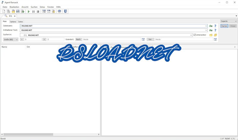 Agent Ransack Pro версия 2022, сборка 3420