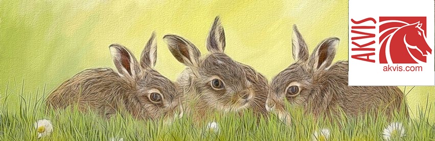 priPrinter Professional 7.0.0.2620 + Server + Repack 2026