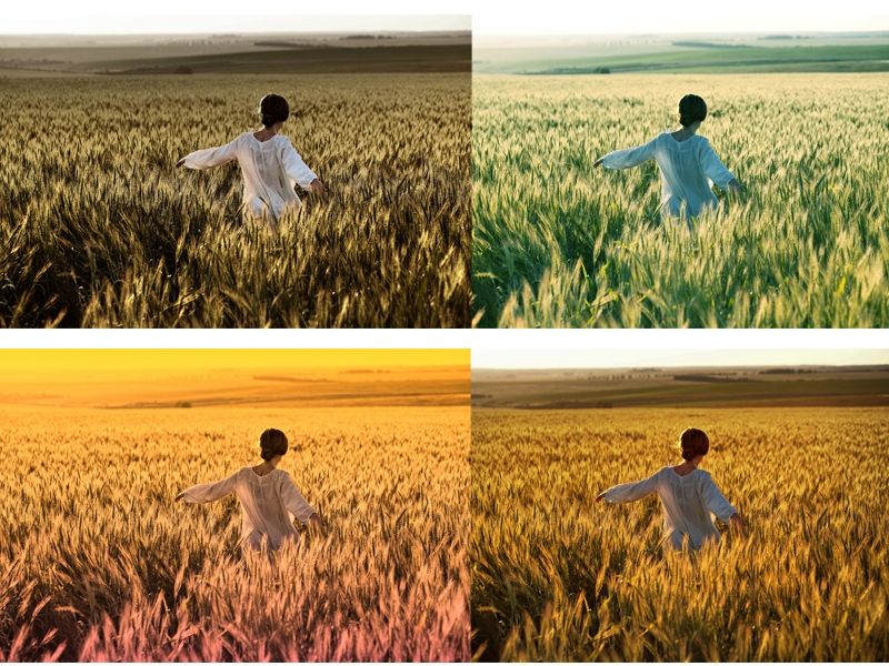 Franzis COLOR Pro 8.23.04078 x64 с русским интерфейсом + Repack + + MacOS