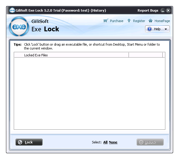 GiliSoft Exe Lock версия 10.9