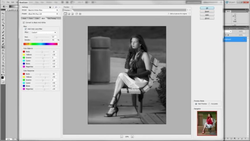 Imagenomic Realgrain версия 2.1.4, сборка 2147