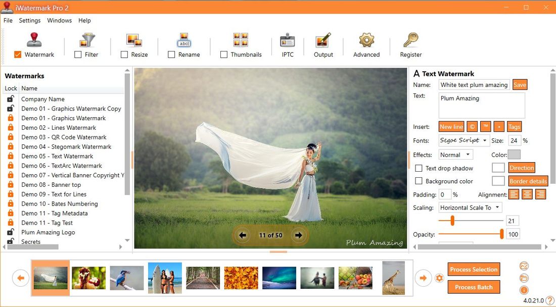 iWatermark Pro версия 2.4.0.33 для 64-битных систем