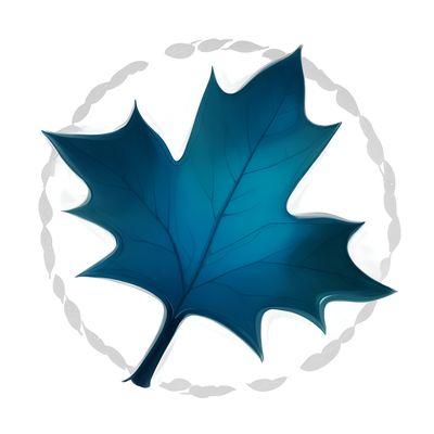 Maplesoft Maple Flow версии 2025.1 для 64-битных систем