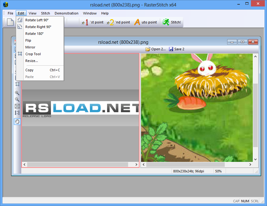 RasterStitch 3.40 Полная версия + + x64