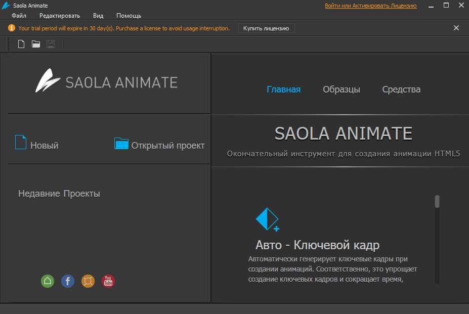 Saola Animate Professional 3.1.4 x64 - Пе