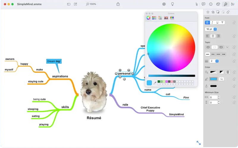 SimpleMind Pro версия 2.4.1 для macOS