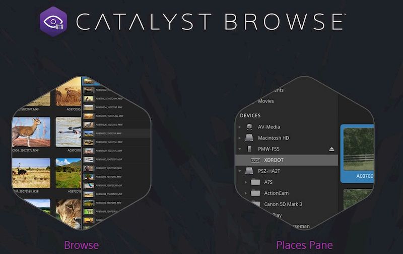 Sony Catalyst Browse и Prepare Suite 2025.1.1 — Репак версия