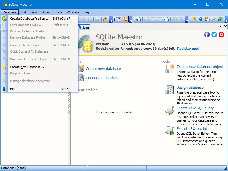 SQLite Maestro Professional версия 21.5.0.5