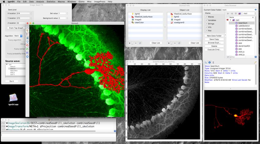 WaveMetrics Igor Pro версия 9.0.5.1