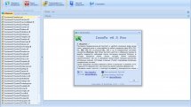 IconTo Pro 6.5 + Portable