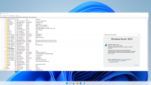 Windows Server vNext LTSC Preview - Build 22463.1000 - Оригинальные образы от Microsoft (Ru/En)