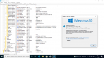 Microsoft Windows 10.0.19041.1348, Version 2004 (Updated November 2021) - Оригинальные образы от Microsoft MSDN (Ru)