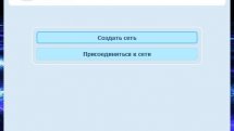 Radmin VPN 1.2.4457.1
