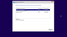 Windows 10 21H2 (19044.1466) x64 Home + Pro + Enterprise (3in1) by Brux