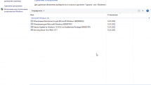 Windows 10 21H2 (19044.1466) x64 Home + Pro + Enterprise (3in1) by Brux