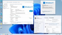 Microsoft® Windows® 11 Professional VL x64 21H2 RU by OVGorskiy 02.2022