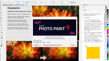 CorelDRAW Graphics Suite 2022 24.0.0.301 Full / Lite RePack by KpoJIuK