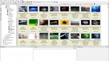 XnViewMP 1.00 + Portable