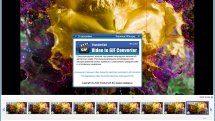 ThunderSoft Video to GIF Converter 3.8.0 (Repack & Portable) by elchupacabra