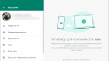 WhatsApp 2.2222.12 RePack (& Portable) by elchupacabra