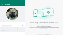 WhatsApp 2.2222.12 RePack (& Portable) by elchupacabra
