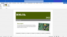 Microsoft Office LTSC 2021 Professional Plus / Standard + Visio + Project 16.0.14332.20345 (2022.07) (W10 / 11) RePack by KpoJIuK
